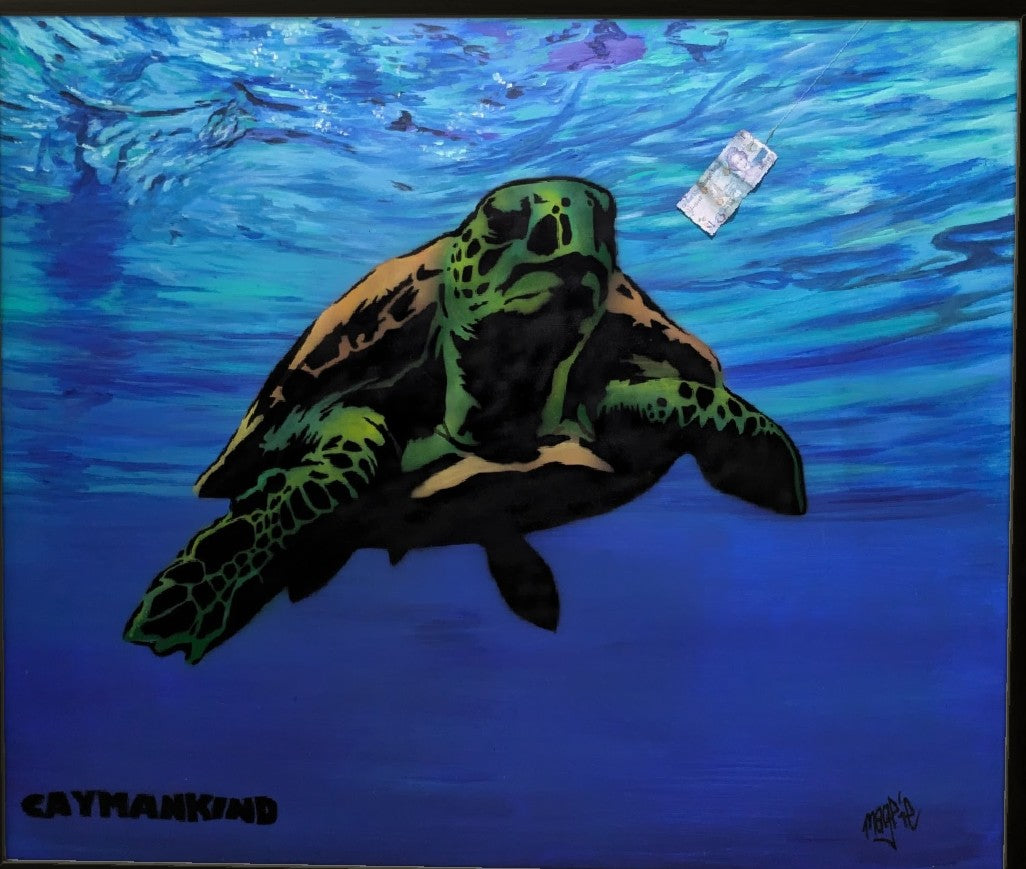 Caymankind Nirvana street art magpie