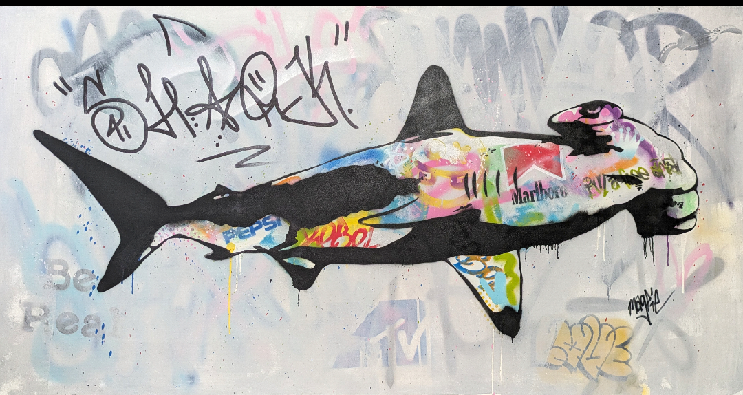 hammer head shark magpie street art